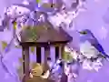Wonderful Humming Bird Land Escape — безкоштовна онлайн гра