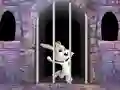 Victory Rabbit Escape — безкоштовна онлайн гра