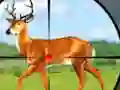 Wild Hunt Hunting Games 3D — безкоштовна онлайн гра