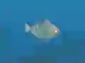 Fish Companions — безкоштовна онлайн гра