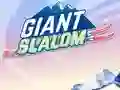 Giant Slalom — безкоштовна онлайн гра