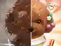 Pet Makeup Master — безкоштовна онлайн гра