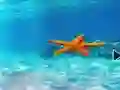 Escape From Underwater Starfish — безкоштовна онлайн гра