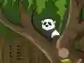 Panda Jungle Escape — безкоштовна онлайн гра