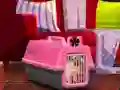 Escape The Small Pug — безкоштовна онлайн гра