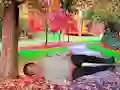 Rescue A Wounded Guy — безкоштовна онлайн гра
