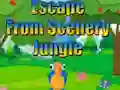 Escape from Scenery Jungle — безкоштовна онлайн гра