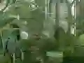 Mystery Garden Escape — безкоштовна онлайн гра