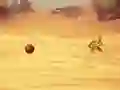 Monkey Shooting — безкоштовна онлайн гра