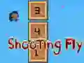 Shooting Fly — безкоштовна онлайн гра