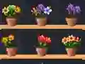 Good Flower Master — безкоштовна онлайн гра