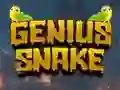 Genius Snake — безкоштовна онлайн гра
