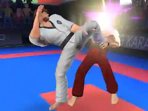 Karate Fighter — безкоштовна онлайн гра