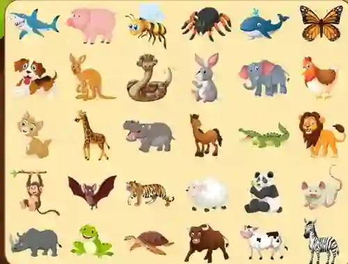 Discover Animals — безкоштовна онлайн гра
