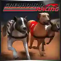 Greyhound Racing — безкоштовна онлайн гра