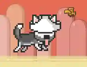 Mr Jump Husky — безкоштовна онлайн гра