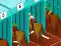 Derby racing — безкоштовна онлайн гра