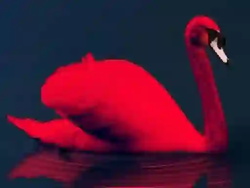 Love Birds Puzzle — безкоштовна онлайн гра