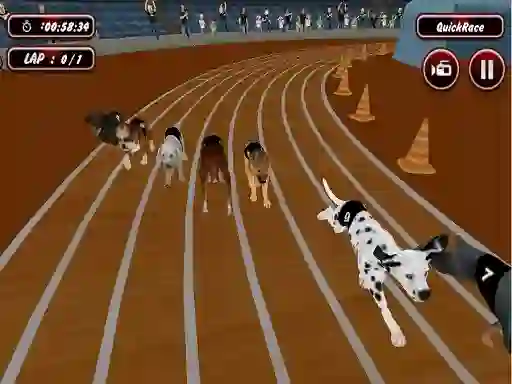 Crazyl Dog Racing Fever — безкоштовна онлайн гра