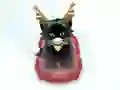 Pet Sledding — безкоштовна онлайн гра