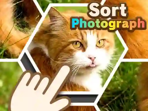 Sort Photograph — безкоштовна онлайн гра