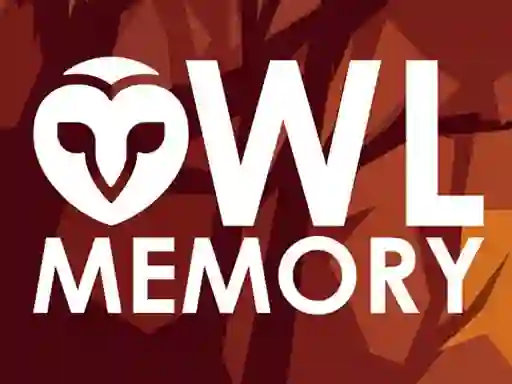 Owl Memory — безкоштовна онлайн гра