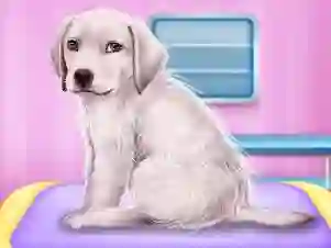 Labrador at the doctor salon — безкоштовна онлайн гра