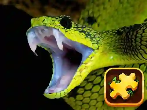 Snake Puzzle Challenge — безкоштовна онлайн гра