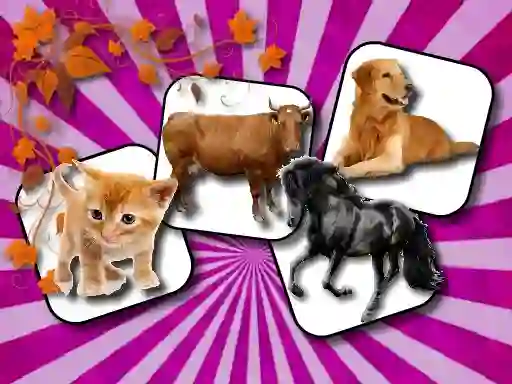 Domestic Animal Memory Challenge — безкоштовна онлайн гра