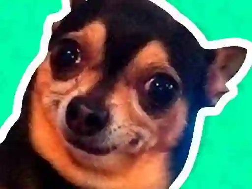 What meme dog are you ? — безкоштовна онлайн гра