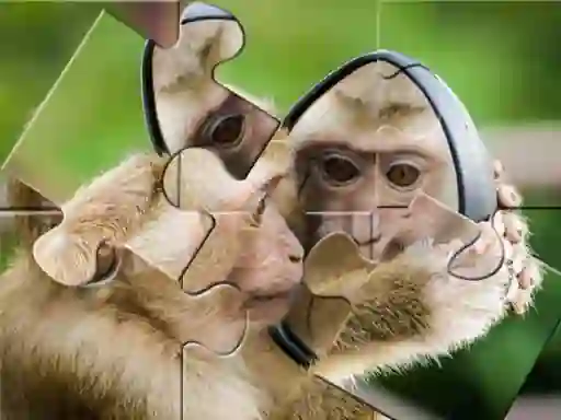 Chimpanzee Jigsaw — безкоштовна онлайн гра