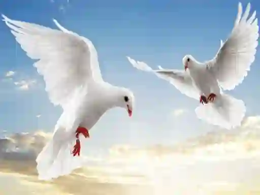 Flying Birds — безкоштовна онлайн гра