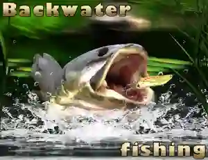 Backwater Fishing — безкоштовна онлайн гра
