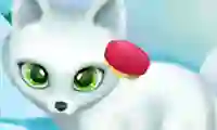 Paws to Beauty Arctic Edition — безкоштовна онлайн гра