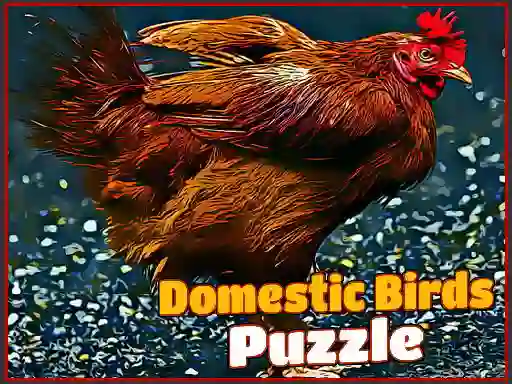 Domestic Birds Puzzle — безкоштовна онлайн гра