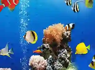 Sea Underwater Difference — безкоштовна онлайн гра