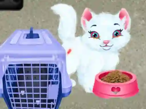 Baby Taylor Pet Care — безкоштовна онлайн гра