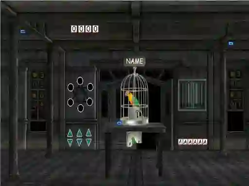 Parrots Escape — безкоштовна онлайн гра