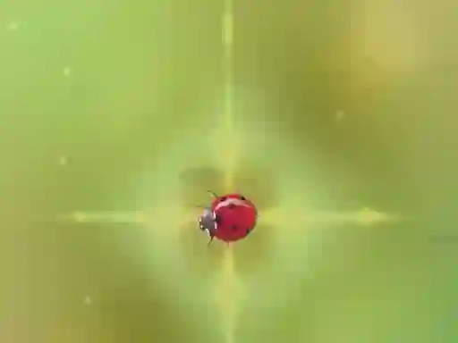 Pest Control — безкоштовна онлайн гра