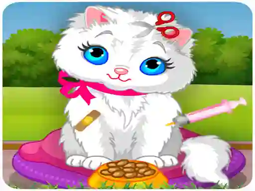 Vet Cat Clinic — безкоштовна онлайн гра