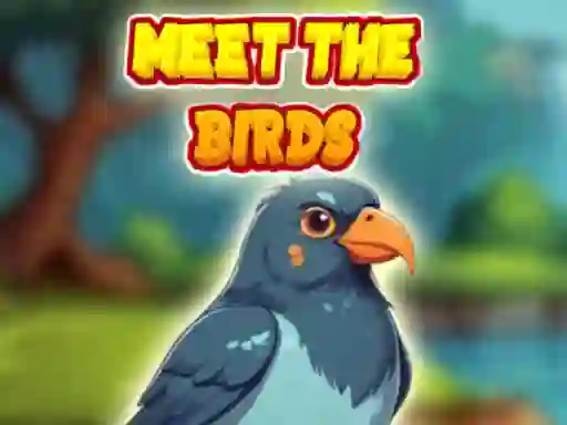 Meet The Birds — безкоштовна онлайн гра