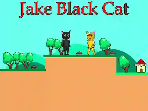 Jake Black Cat — безкоштовна онлайн гра