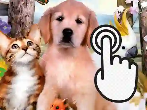 Pets Clicker — безкоштовна онлайн гра