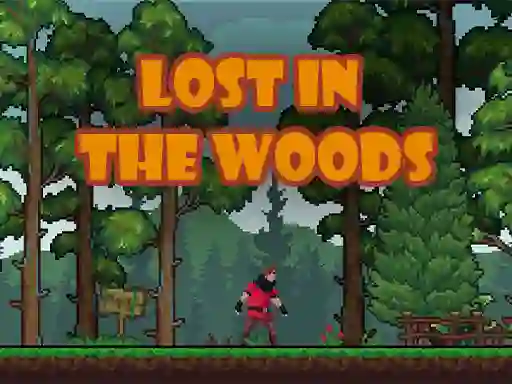 Lost in the Woods — безкоштовна онлайн гра