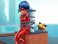 Гра Cat Noir Рятувальні Божа корівка  онлайн