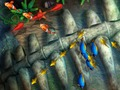 Гра Рибалка короля  онлайн