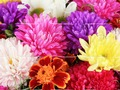 Гра 2019 День головоломки матері  онлайн