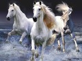 Гра Коні  онлайн