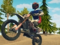 Гра Грязний велосипед Enduro Racing  онлайн