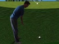 Гра Flash Golf 3D  онлайн